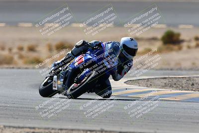 media/Feb-13-2022-SoCal Trackdays (Sun) [[c9210d39ca]]/Turn 14 (1130am)/